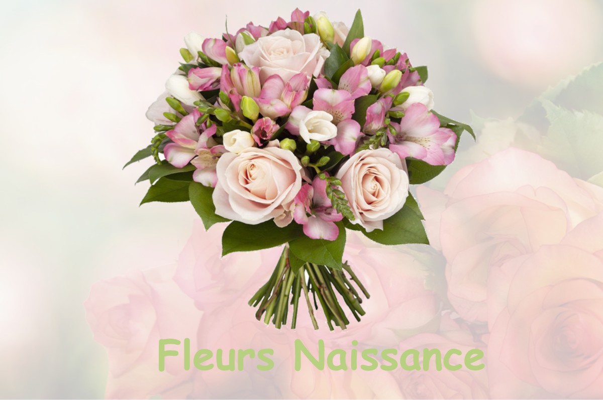 fleurs naissance VILLETTE-D-ANTHON